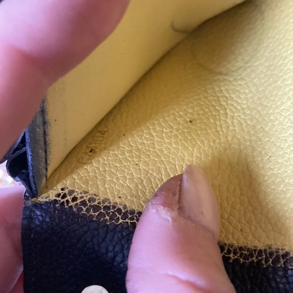 Louis Vuitton Black Crossbody Wallet with Gold Chain